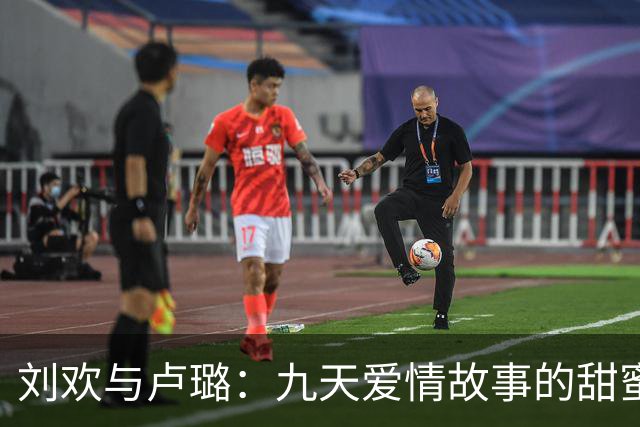 刘欢与卢璐：九天爱情故事的甜蜜与泪水