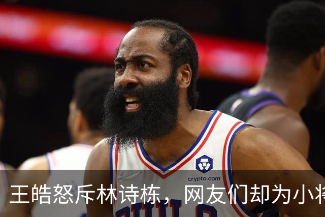 王皓怒斥林诗栋，网友们却为小将打抱不平！