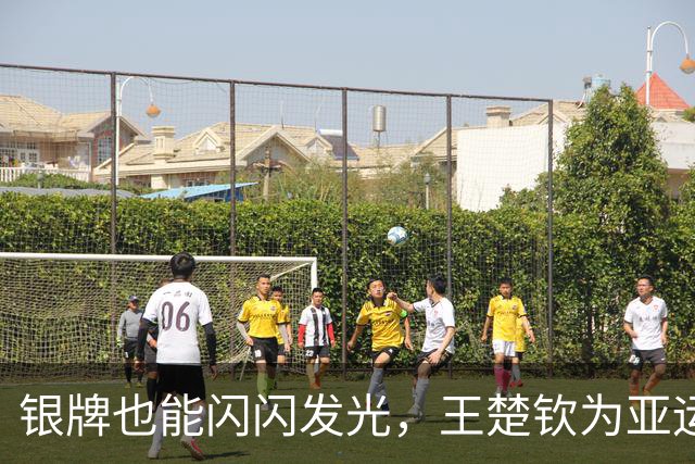 银牌也能闪闪发光，王楚钦为亚运添彩！